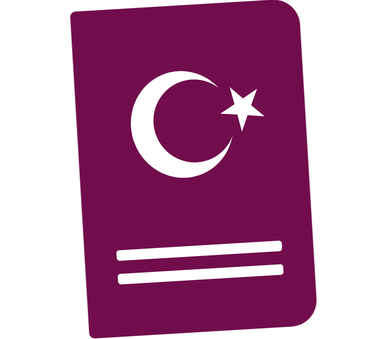 الحصول على الجنسية التركية